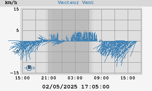 Wind Vector