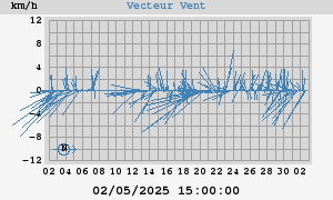 Wind Vector