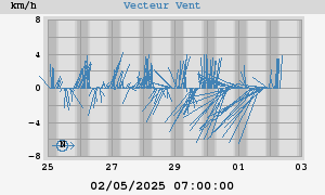 Wind Vector