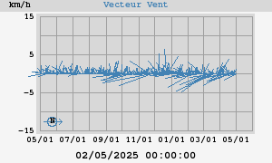 Wind Vector